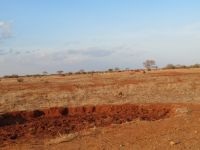 1121 Tsavo-Ost Nationalpark