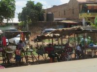 1173 Rückfahrt nach Nairobi - Impressionen von unterwegs - 