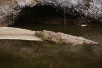 124 Campnachbar Masai Mara