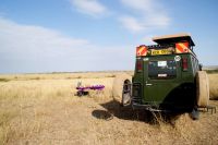 178 Frühstück in der Masai Mara