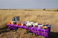 180 Frühstück in der Masai Mara