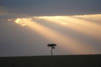226 Sonnenuntergang Masai Mara