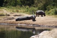 260 Nachbarn im Camp