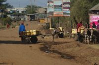 296 Unterwegs durch Kenia