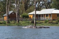 302 Bootsfahrt Lake Naivasha