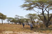 318 Safari Crescent Island