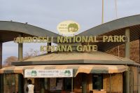 333 Amboseli Nationalpark