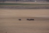 360 Amboseli Nationalpark