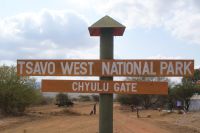 375 Tsavo West Nationalpark