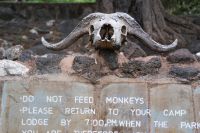 405 Mzima Springs Tsavo West Nationalpark