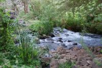 406 Mzima Springs Tsavo West Nationalpark