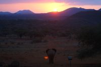 416 Sonnenuntergang Tsavo West Nationalpark