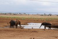 425 Wasserloch Ashnil Lodge