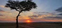 204 Einladung zum Sundowner unseres Camps