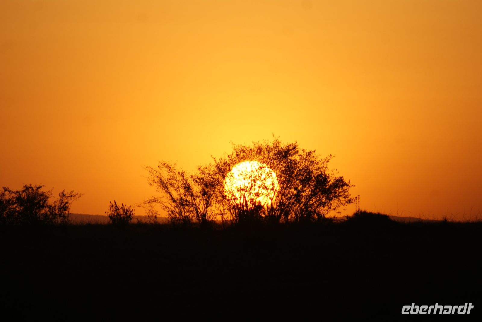209 Sonnenaufgang