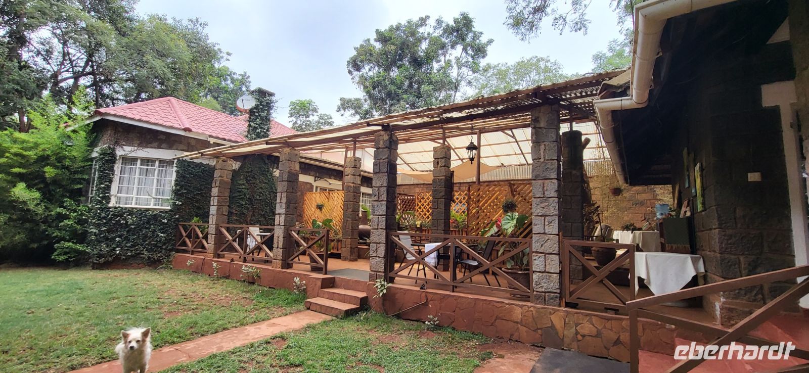 6. Besuch der Kaffeefarm