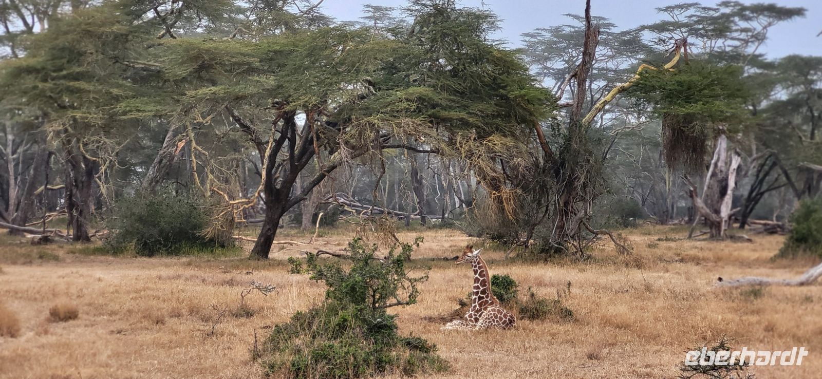 24 Solio Rhino Sanctuary