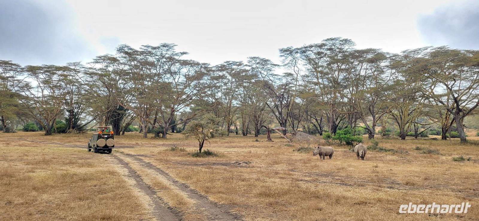 25 Solio Rhino Sanctuary