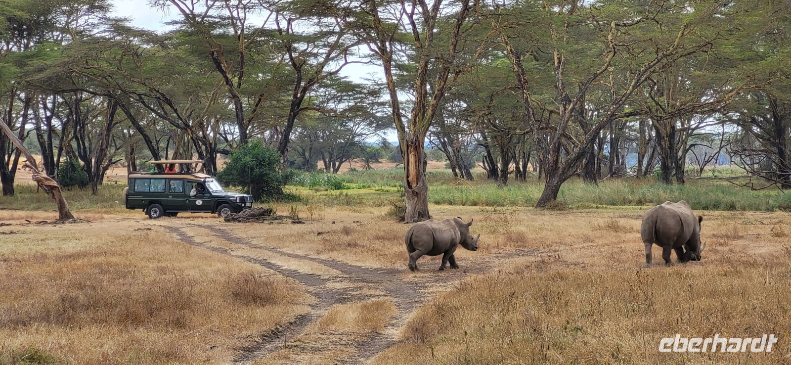 28 Solio Rhino Sanctuary
