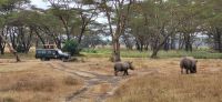 28 Solio Rhino Sanctuary