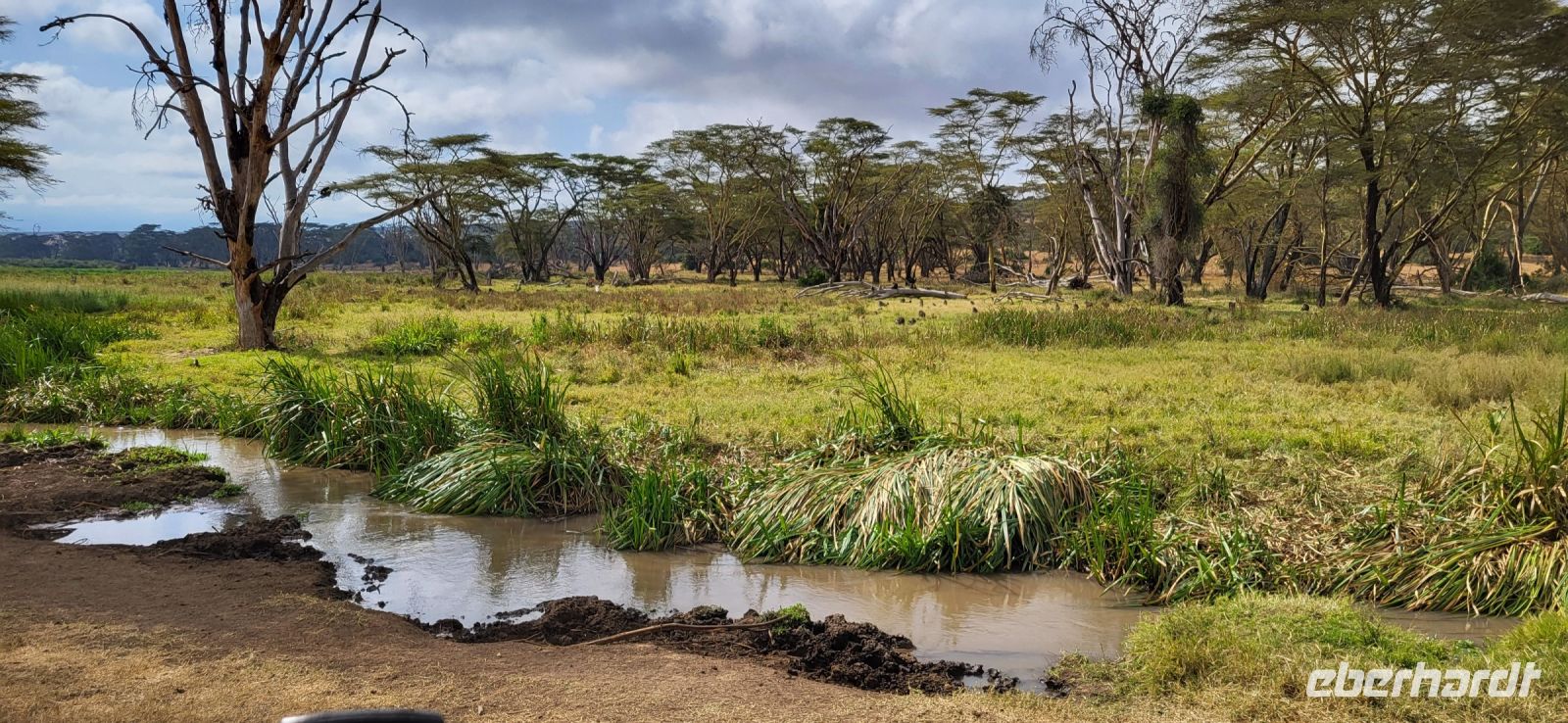 29 Solio Rhino Sanctuary