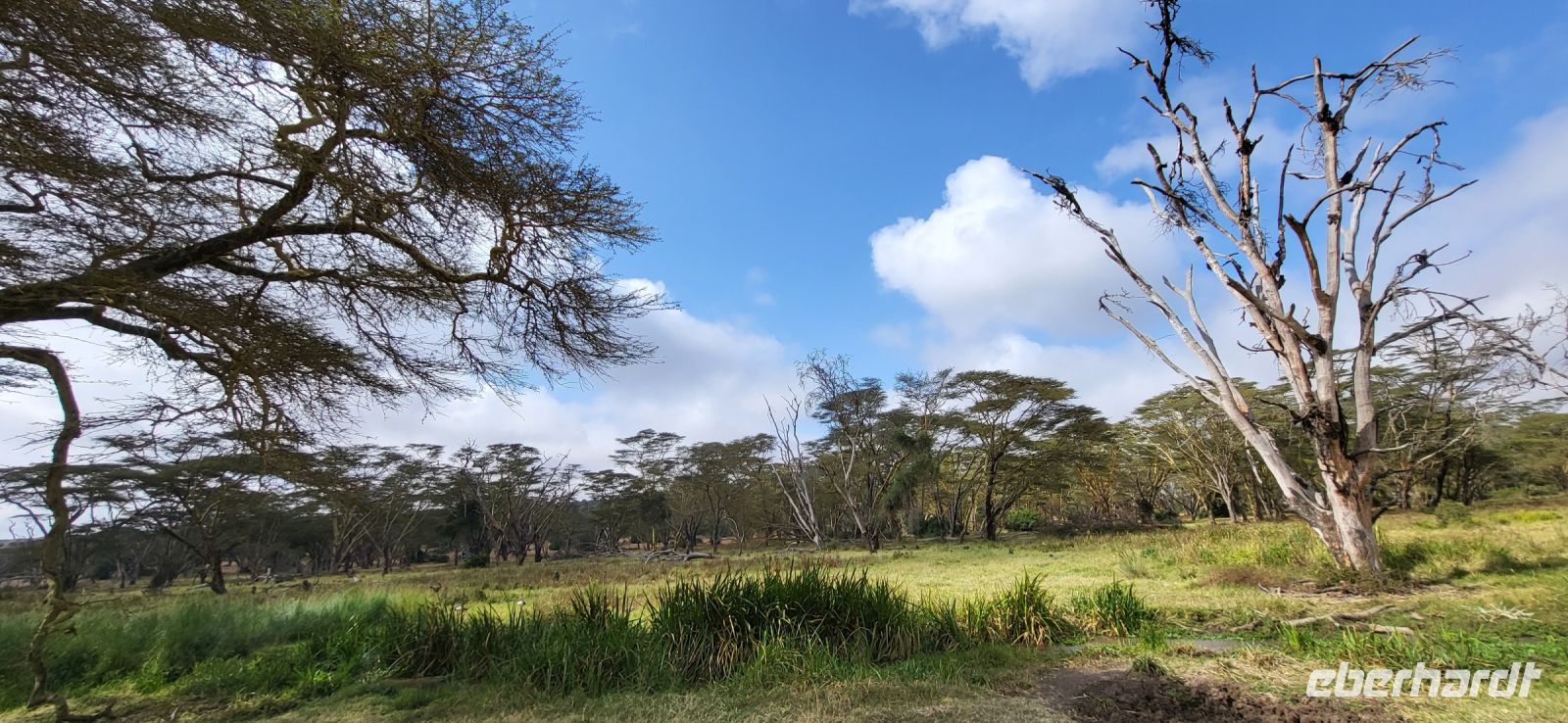 30 Solio Rhino Sanctuary