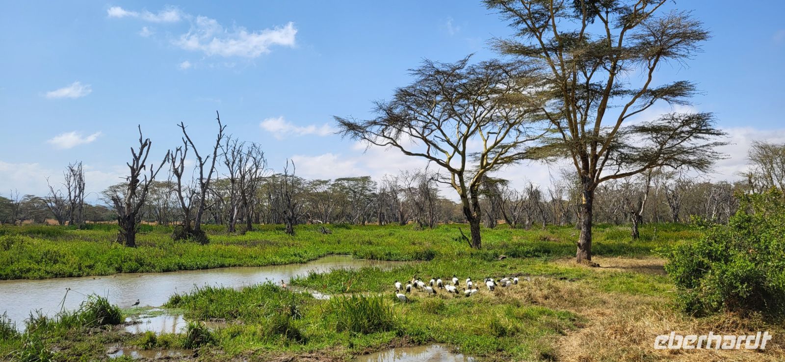 32 Solio Rhino Sanctuary