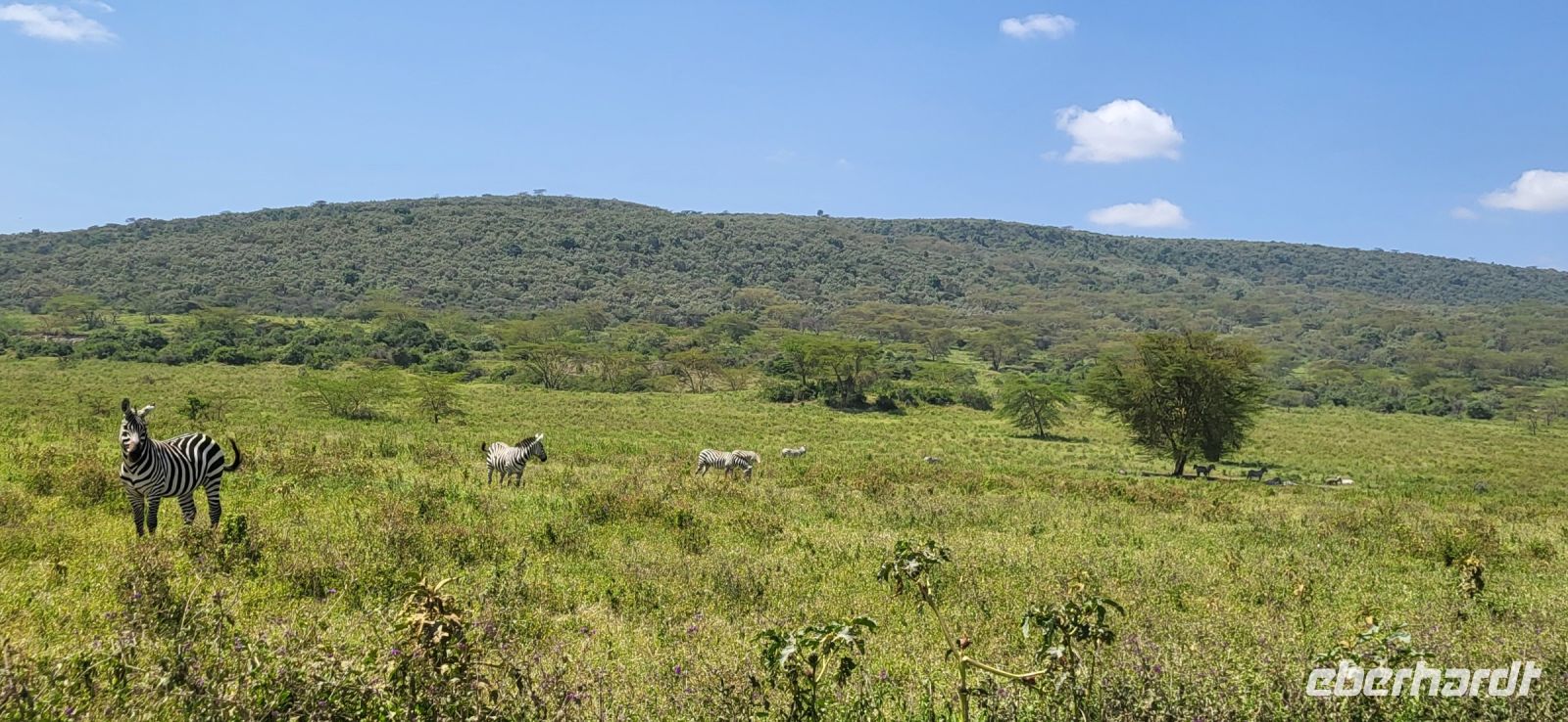 74 Lake Nakuru Nationalpark