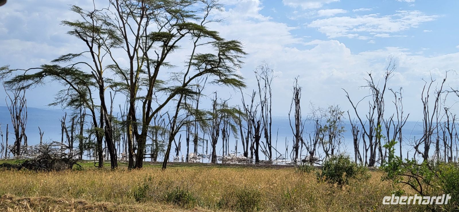 77 Lake Nakuru Nationalpark