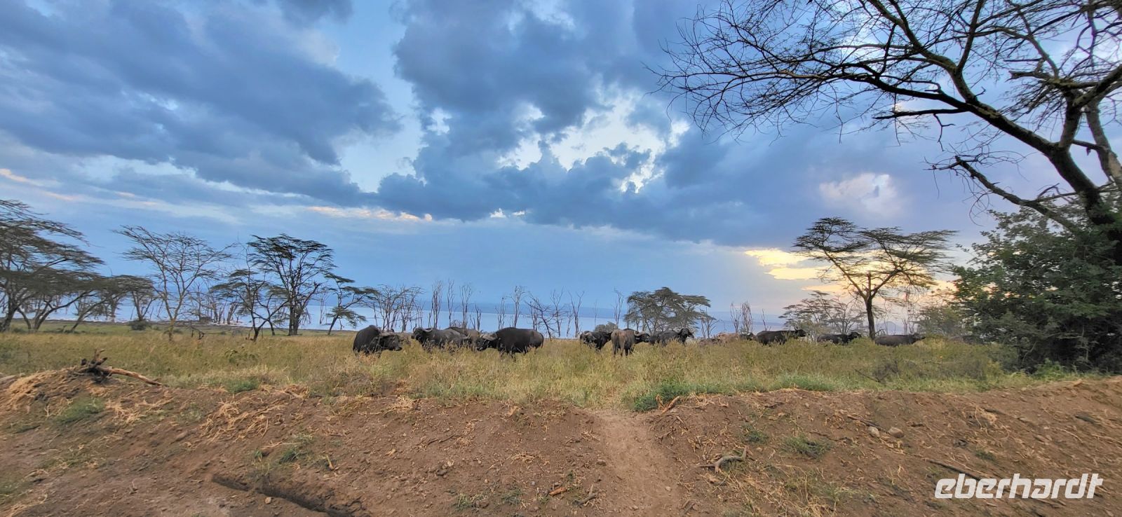 79 Lake Nakuru Nationalpark