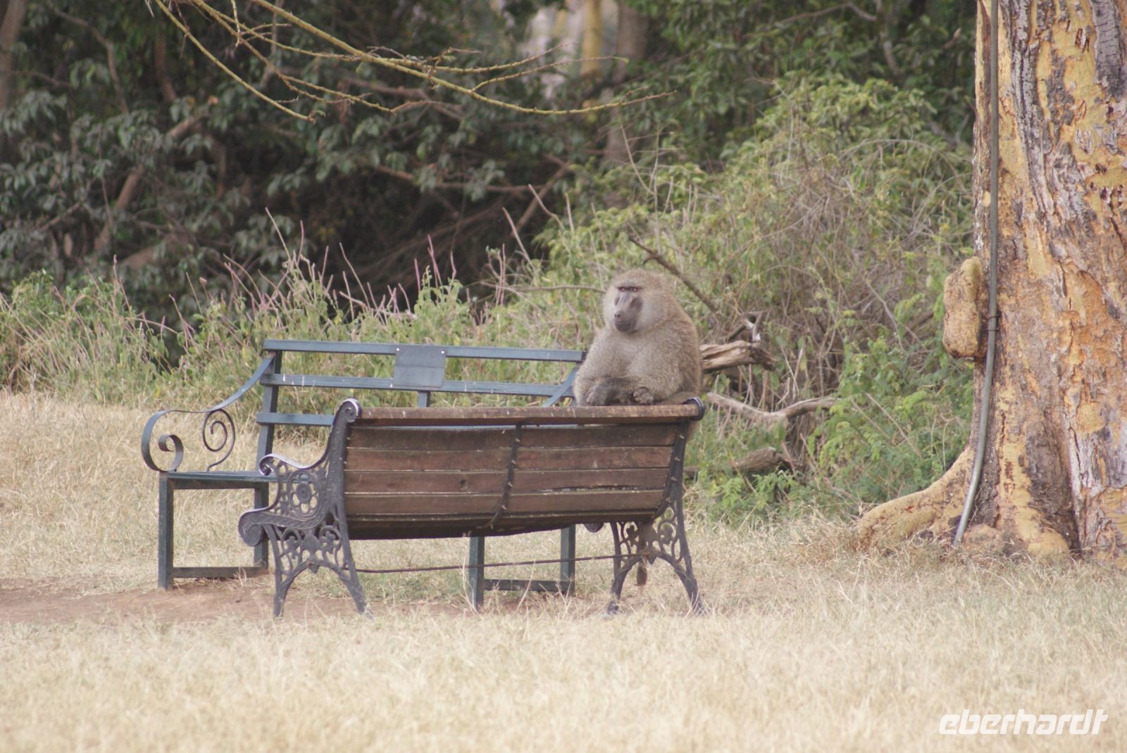 104 der Boss wartet schon