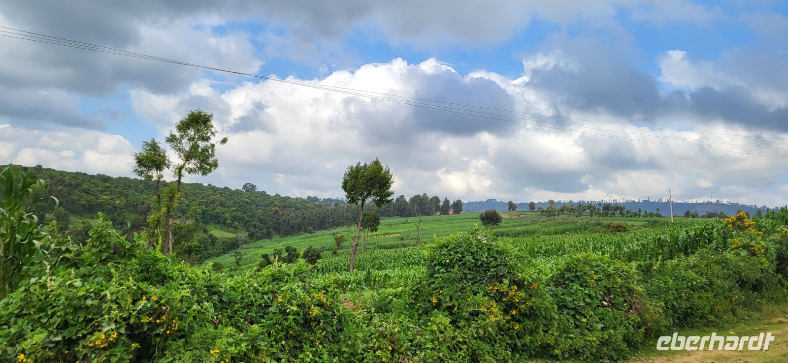 113 Unterwegs durch Kenia