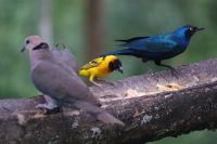 115 morgendliche Fütterung