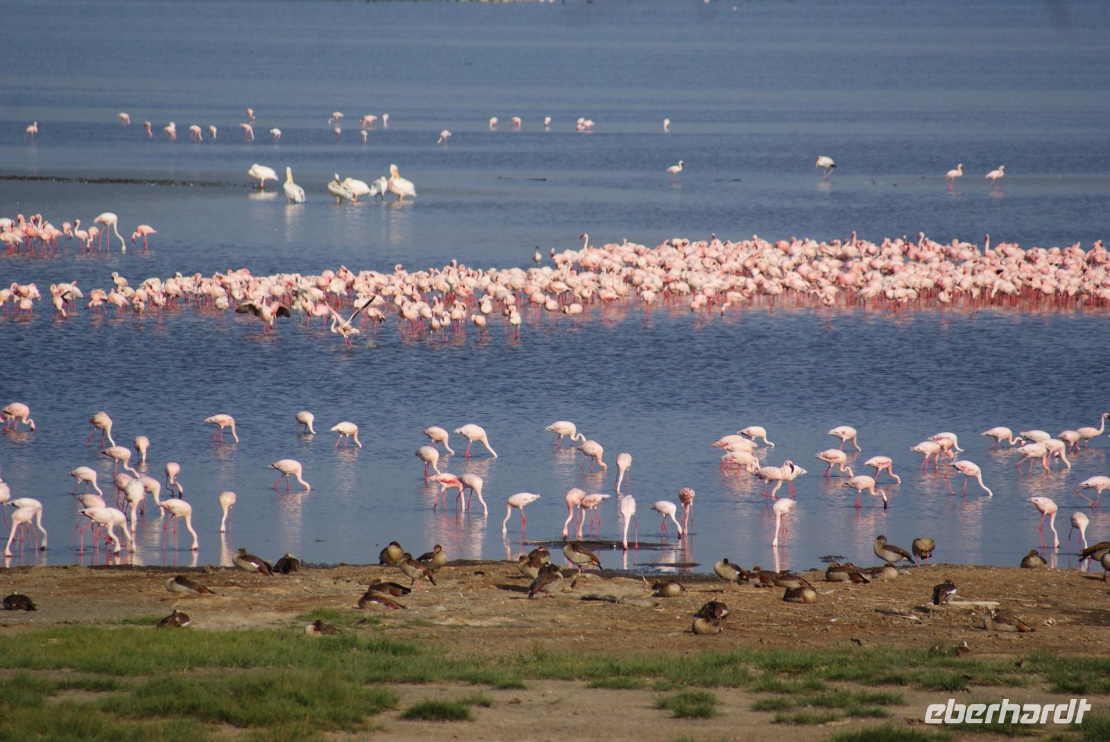 120 Morgenstimmung am Lake Nakuru