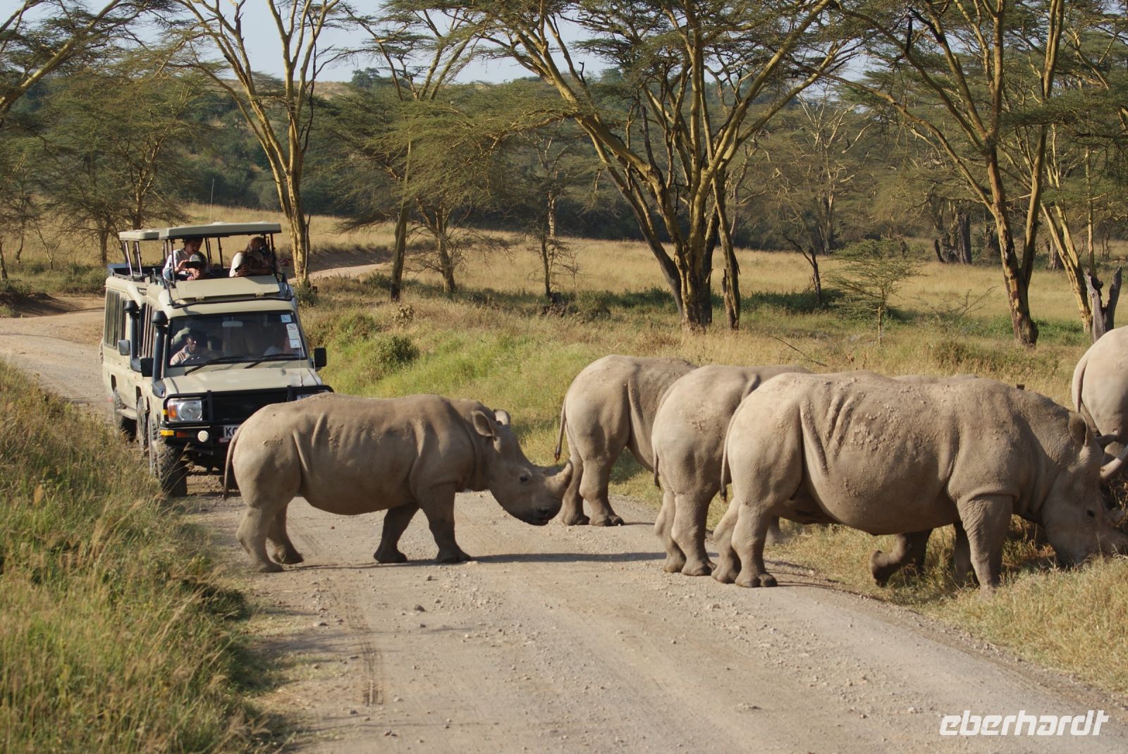123 Nashornbegegnung am Lake Nakuru