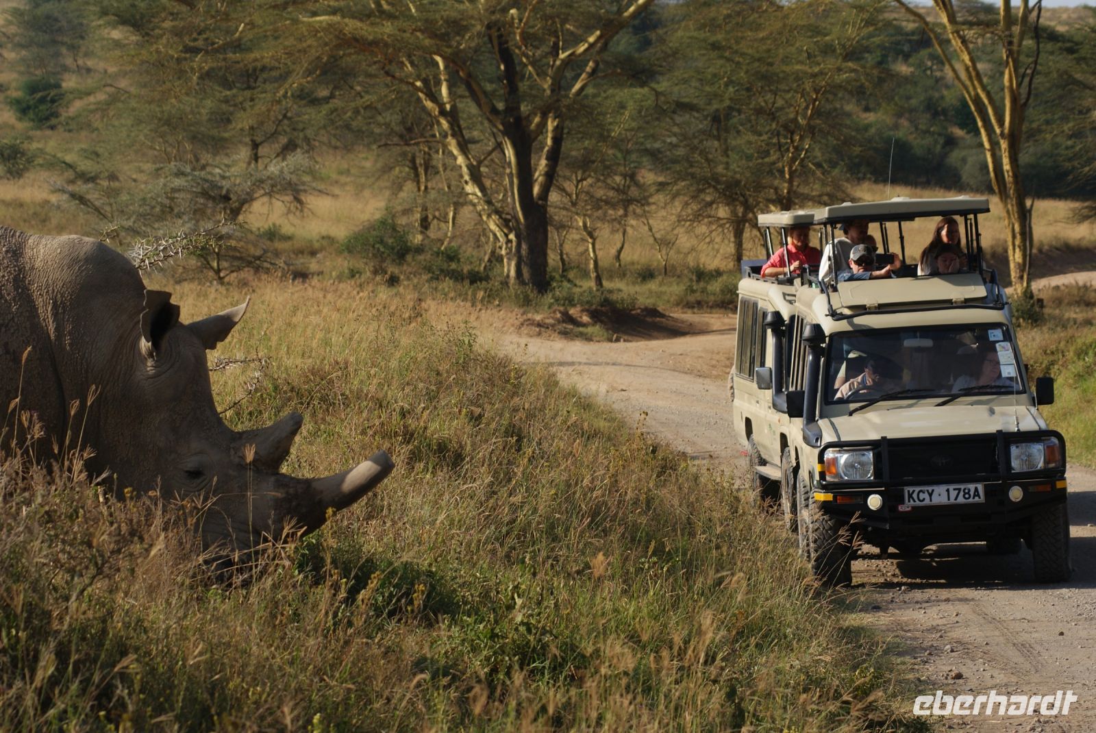 125 Nashornbegegnung am Lake Nakuru