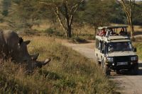125 Nashornbegegnung am Lake Nakuru