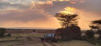 150 Pirschfahrt Masai Mara