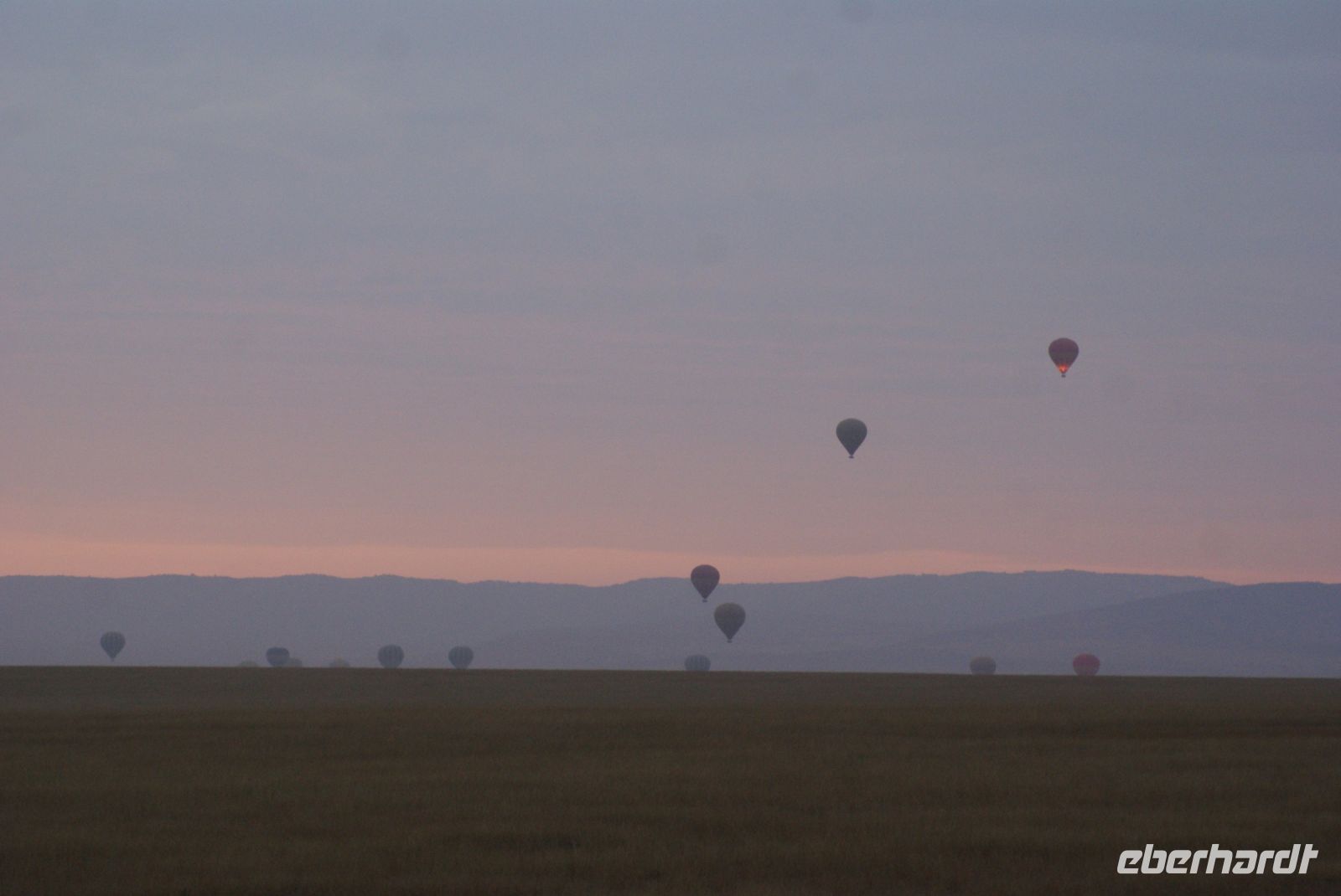 154 Morgenstimmung Masai Mara