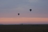155 Morgenstimmung Masai Mara