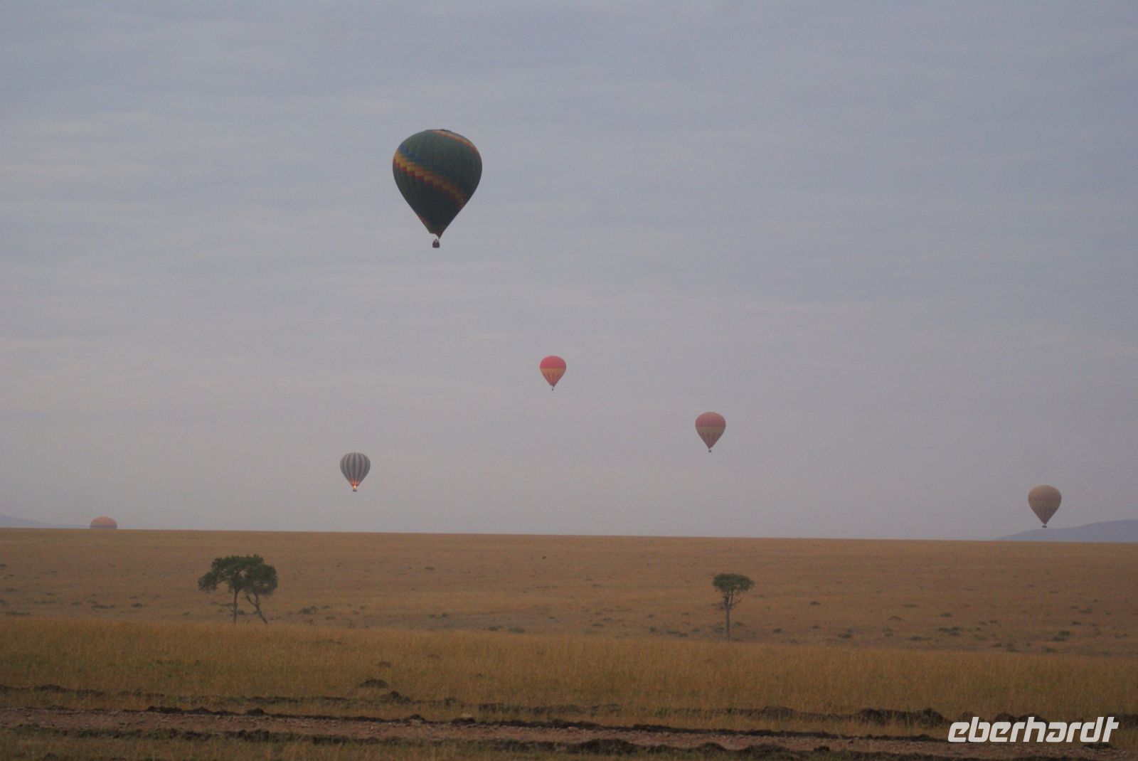 156 Morgenstimmung Masai Mara