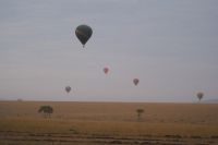 156 Morgenstimmung Masai Mara