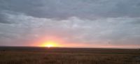 177 Sonnenaufgang in der Masai Mara