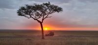 178 Sonnenaufgang in der Masai Mara