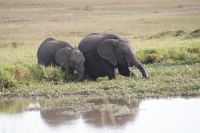 192 schöne Begegnungen