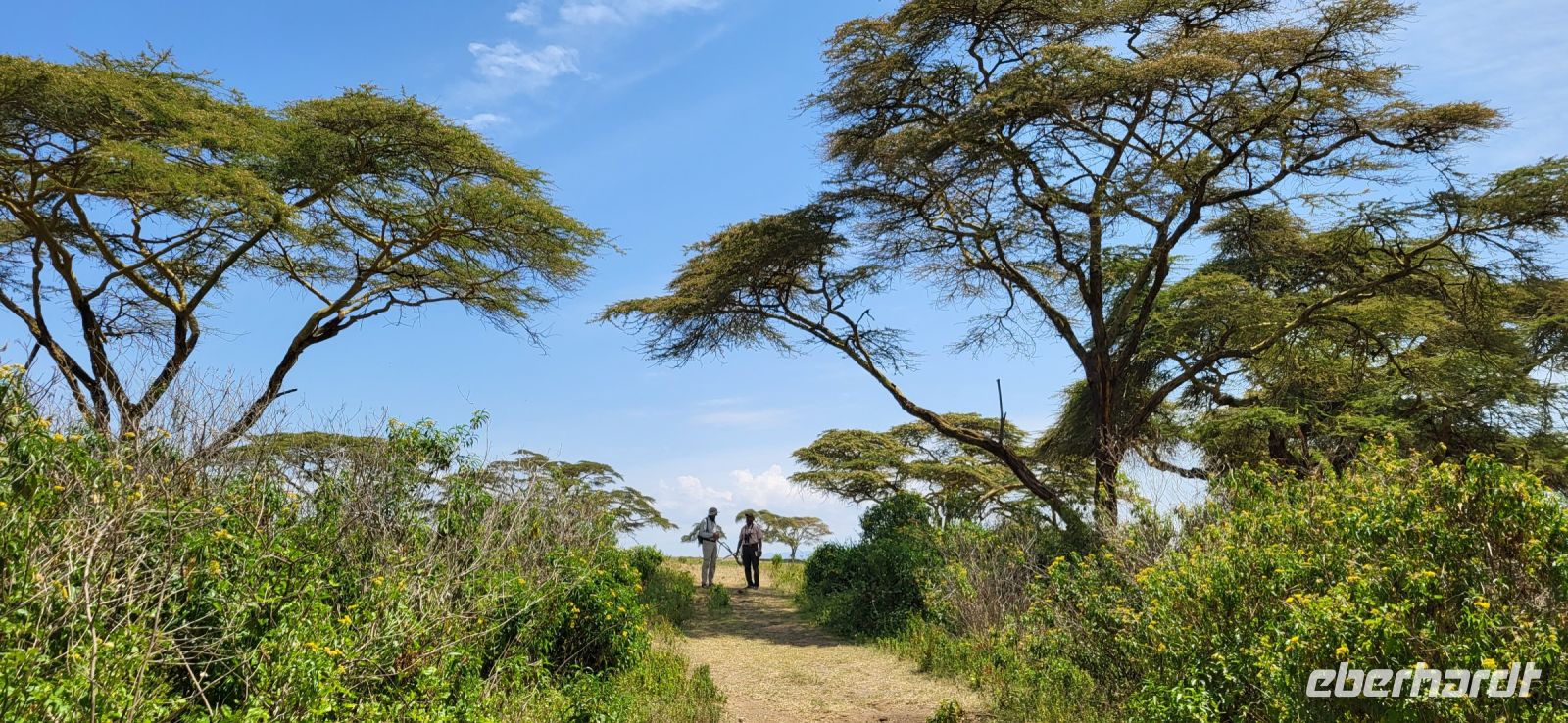 263 Wanderung Crescent Island