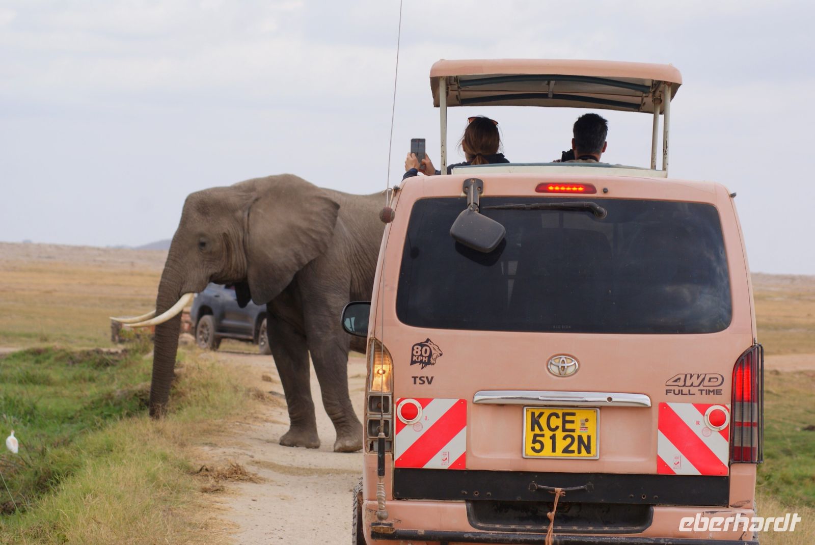 311 Elefanten im Amboseli NP