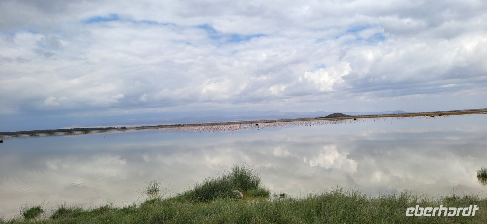 341 Amboseli am Nachmittag