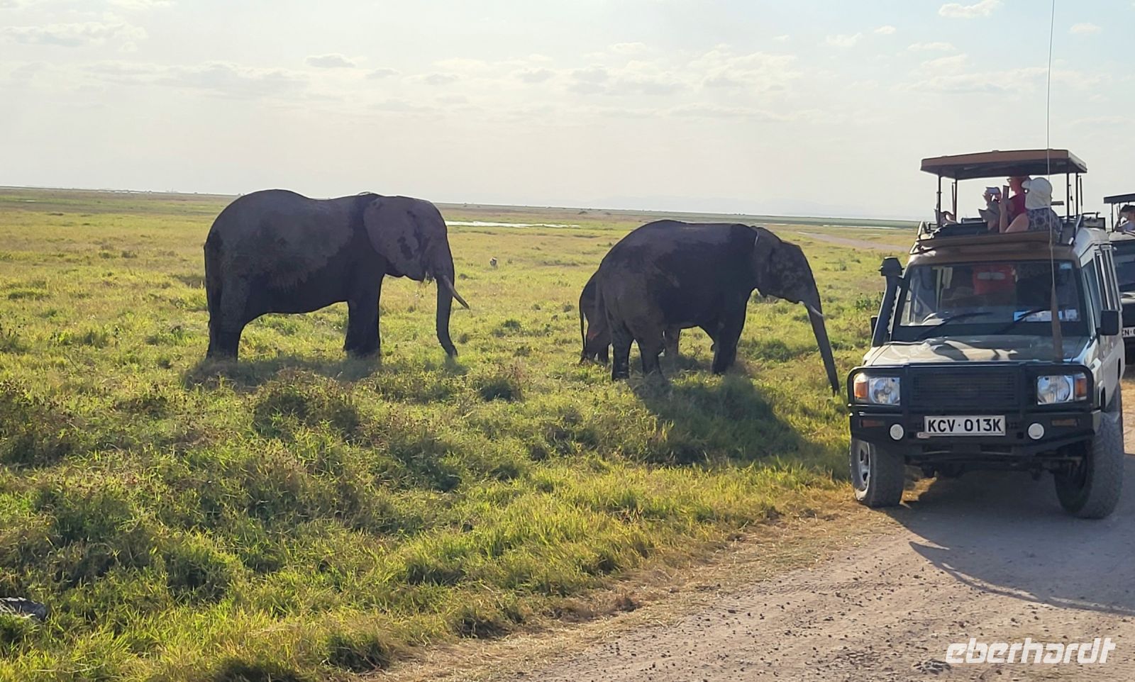 342 einmalige Begegnungen