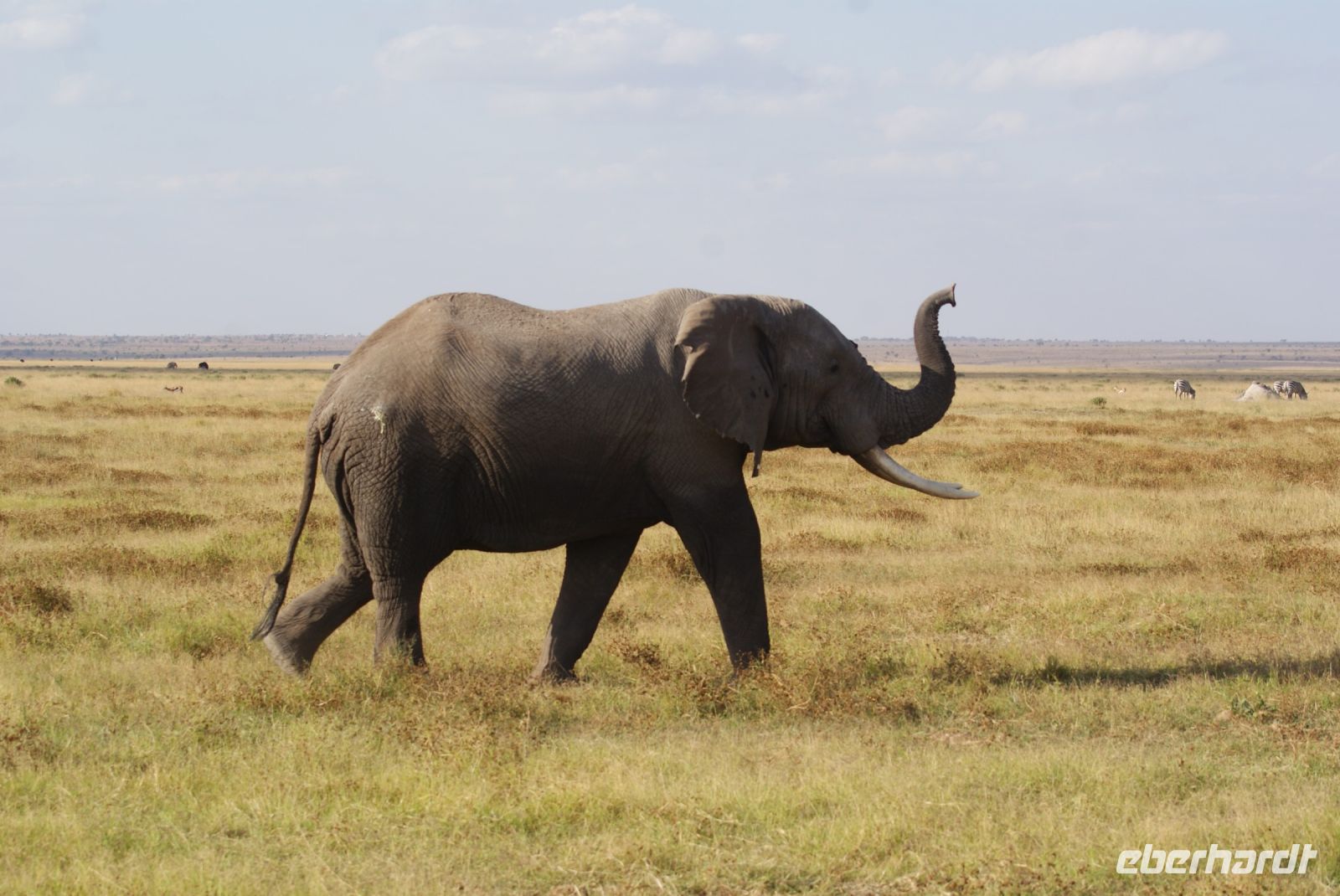 347 es riecht nach Mensch